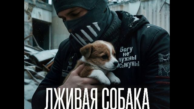 Лживая собака