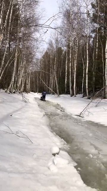 Снегоход буран.