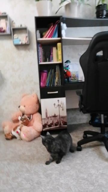 Желание играть