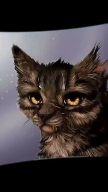 Коты-воителиКлок Кометы