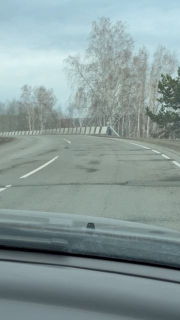 Две косули перебежали дорогу 9-й день путешествия в Тыву.