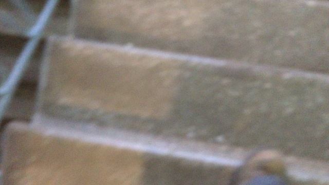 Теорема ЖКХ_Подъезд_2026.04.25_14-45