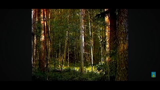 Магнитошатинская область Древолаз