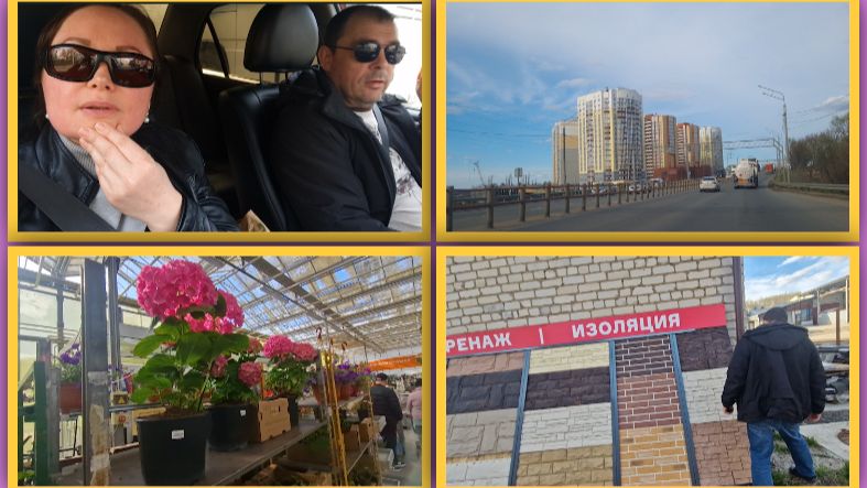 Едем во Владимир. Сожгла лицо. Цветы. Рассада. Цены.