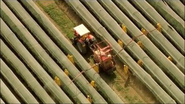 Home Music Sandrine Piau - Cum Dederit