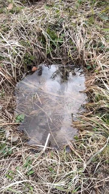 Ямка с водой
