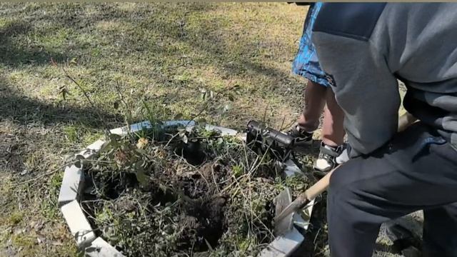 25.04.2026 Всероссийский субботник