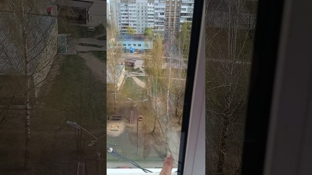 25-04-2026у меня появился помощник я в восторге от него