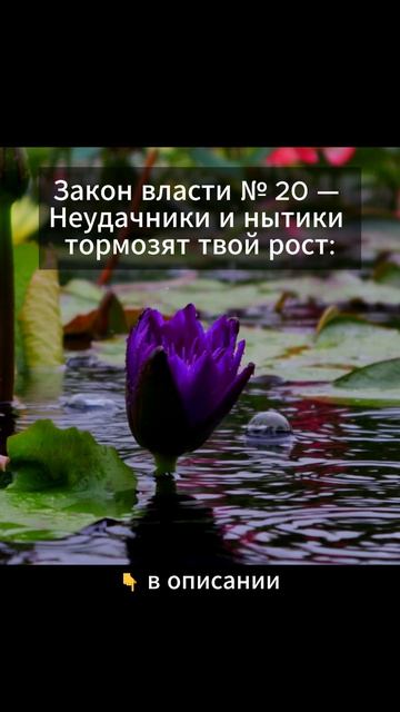 Закон власти  20