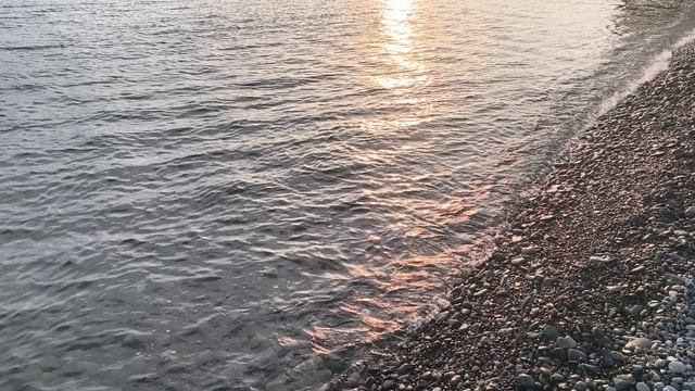 Сочинский сон Андрей Донецкий