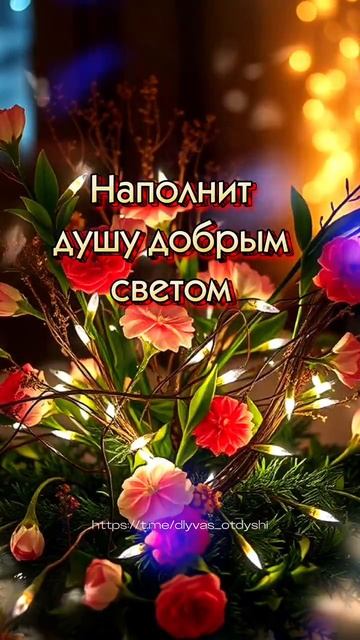 Добрый вечер