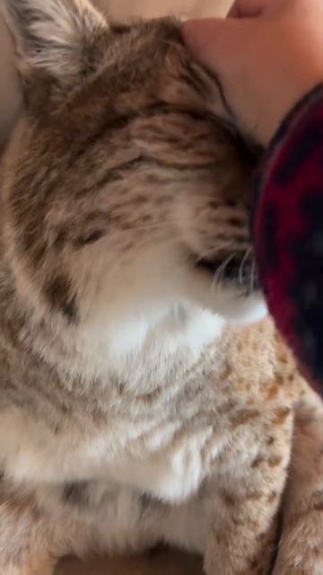 Автор: Marsel_and_co