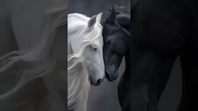 Не опоздай.