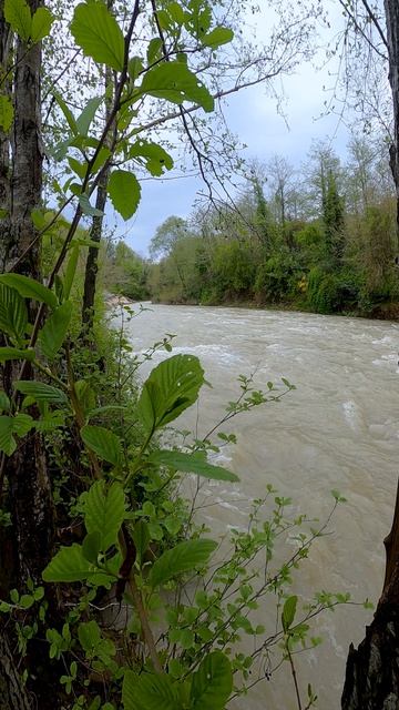 О чем говорит река?