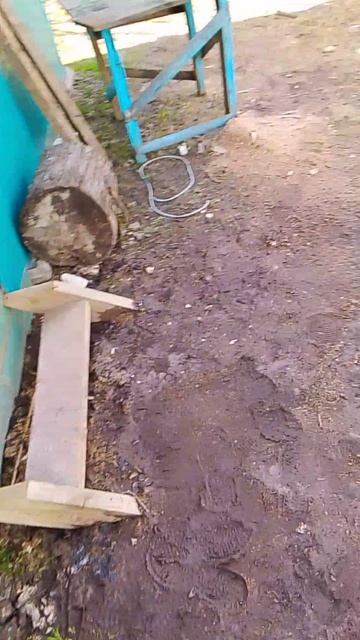 Колян и летрик