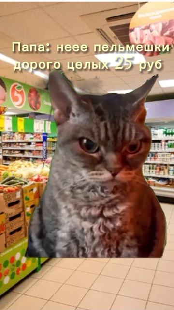 если мы приедем в магазин