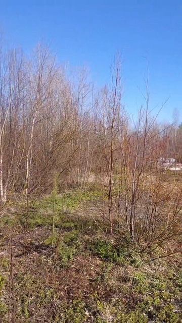 участок в г. Кандалакша