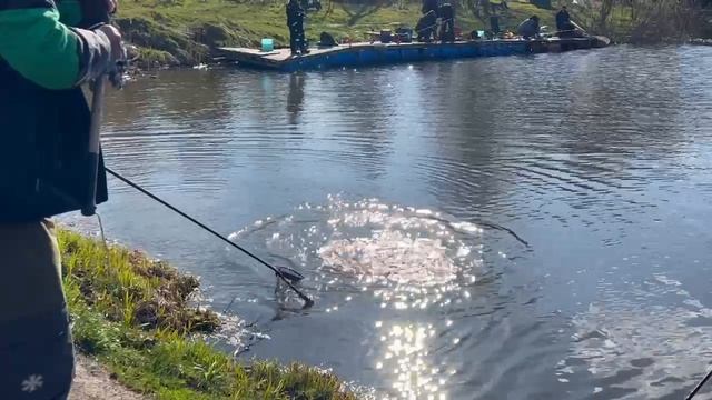 25.04.26 г. РК Волна.