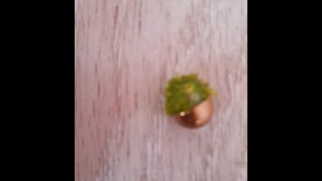 Семья лол 2 сезон 10 серия