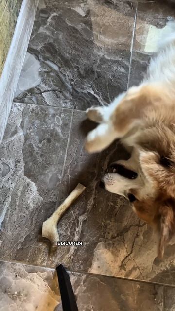 А на чьей стороне вы?