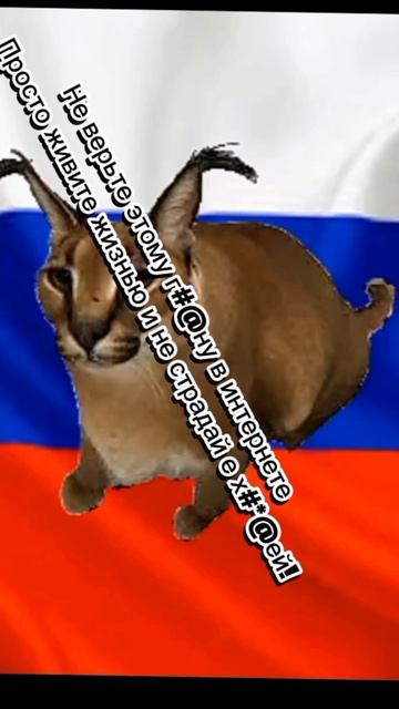 Везде... Обман... 