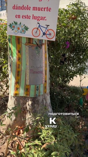 Зачем чилийцы строят мини-церкви вдоль дорог? 