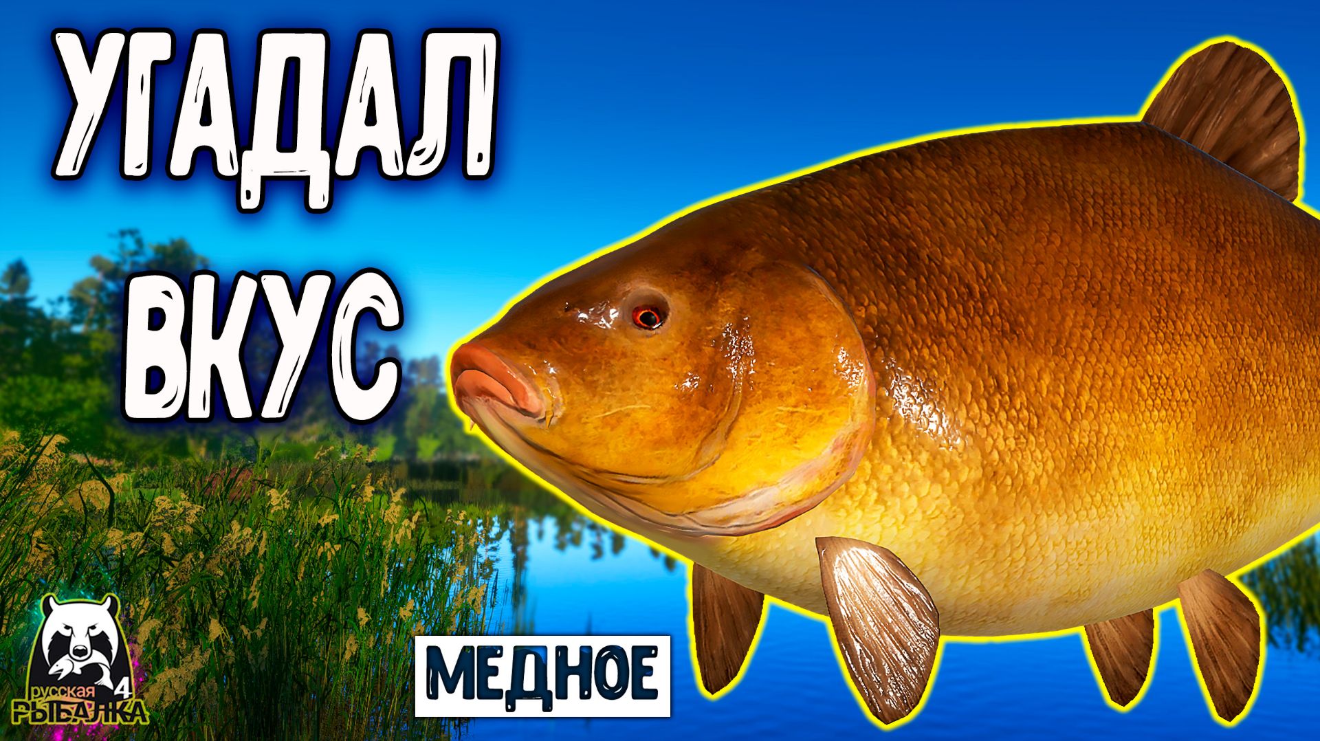 Rf4 угадал их вкус и вот что из этого получилось рр4