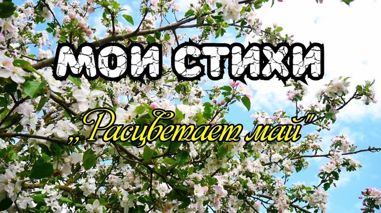 Мои стихи - Цветущий май