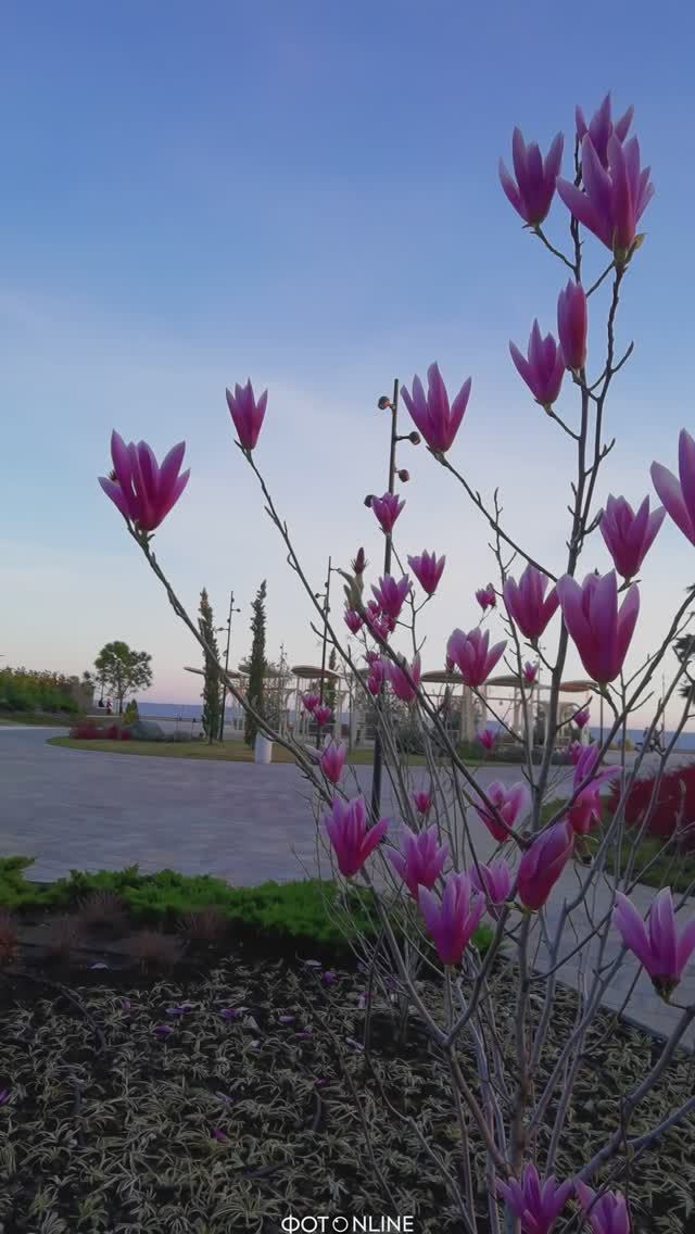 Сириус Сочи. Март 2026