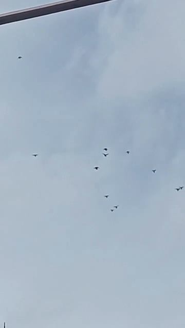 25 апреля вечер