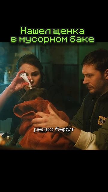 Собака не виновата если хозяин придурок