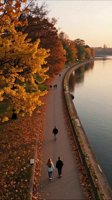 Осенний прогулочный путь у реки осень природа