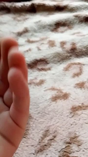 Халява прилетела