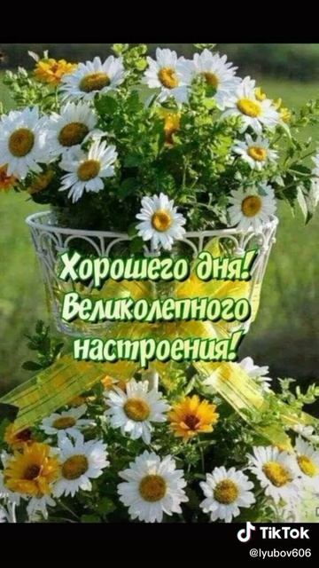 хорошего дня