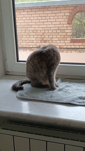 Знакомство