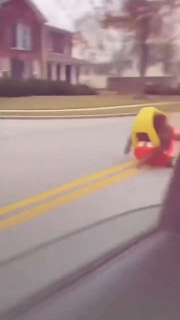 смешные животные