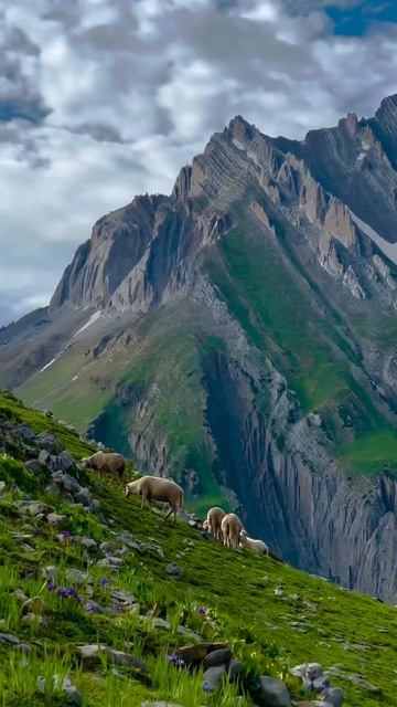 Там где замирает время: Тишина кавказских гор