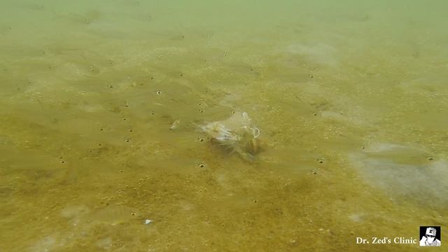 Ничего личного просто бизнес...