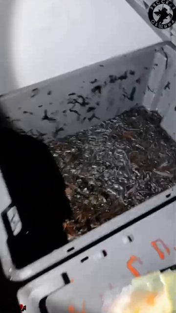 В Берёзовском прошла проверка соблюдения миграционного законодательства