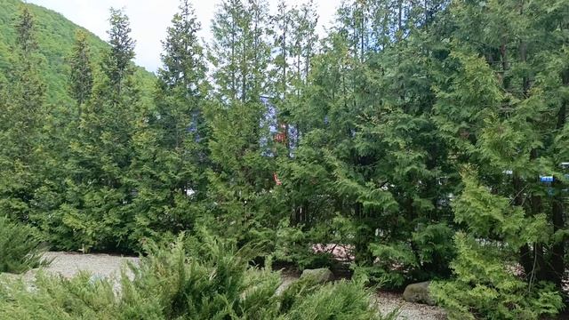 Озеро на Роза хутор 10 мая 2025 г