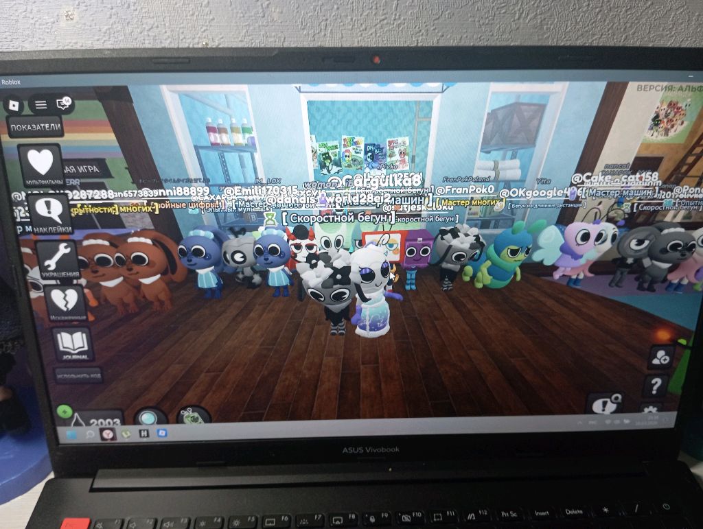 просто общение на канале показываю своих хомячков и делаю небольшую обзор на мою комнату