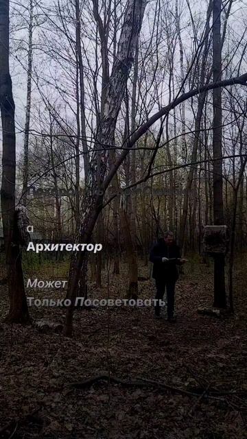 1040 468
The Physician Can Bury His Mistakes
But The Architect Can Only Advise His Client To Plant