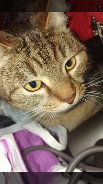 Моментики С мАй КоТэ