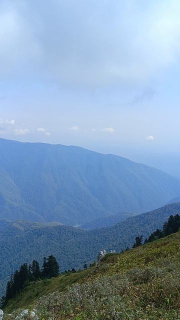 АбхазияМамзышка