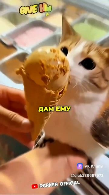 поставь лайк и подпишись