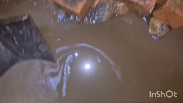 Д. Исаково. Чистка колодца. Сделали чистую воду. Podkapaev.ru 89166141907