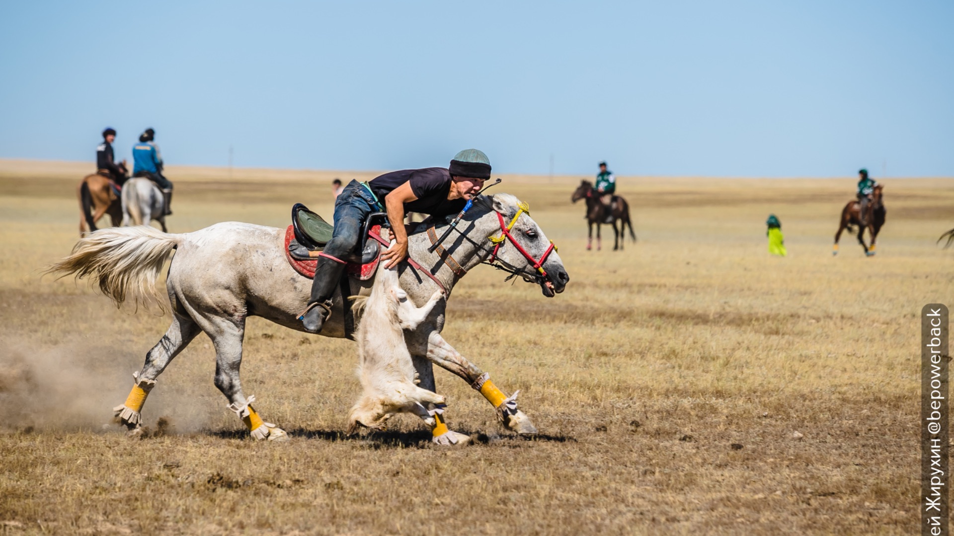 Истинный кокпар - лучшая игра