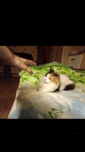 Зайди в описание.