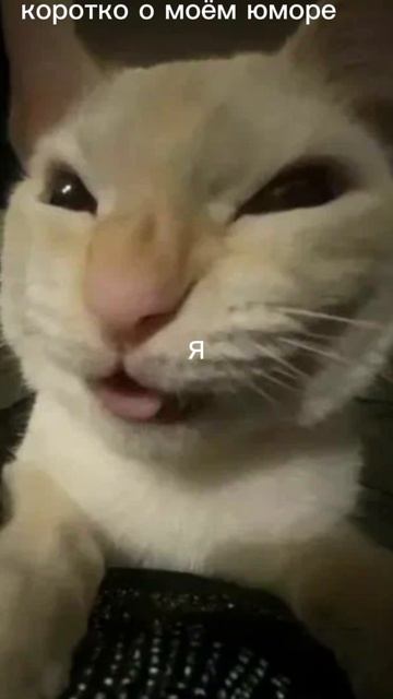 коротко о моём юморе