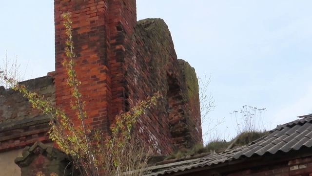 Возле церкви Пресвятой Девы Марии Кармельской в Гатчине